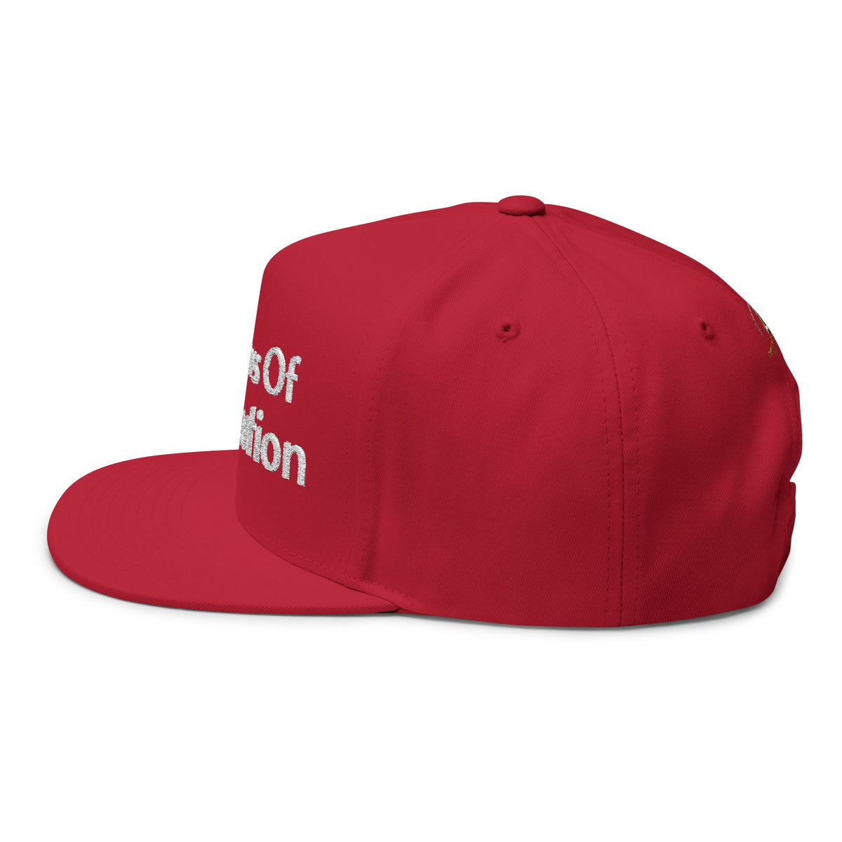 The Laws Of Retribution Embroidered Flat Bill Cap