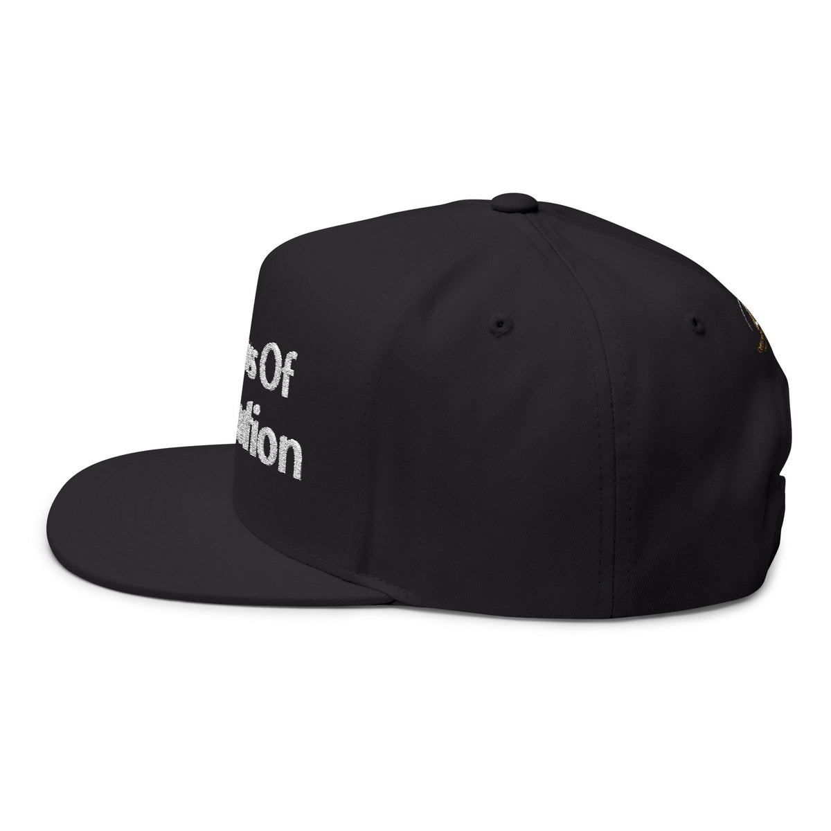 The Laws Of Retribution Embroidered Flat Bill Cap