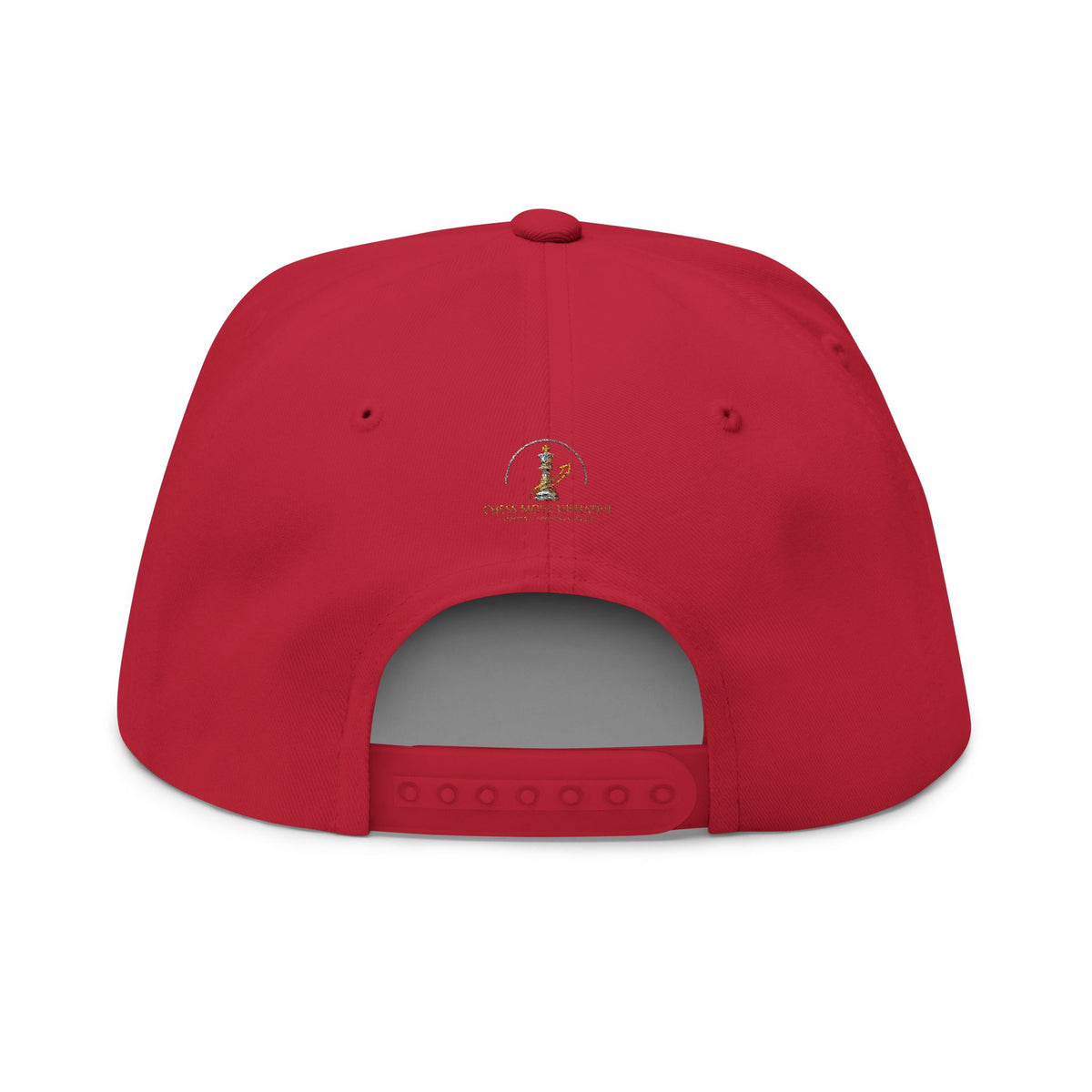 The Laws Of Retribution Embroidered Flat Bill Cap